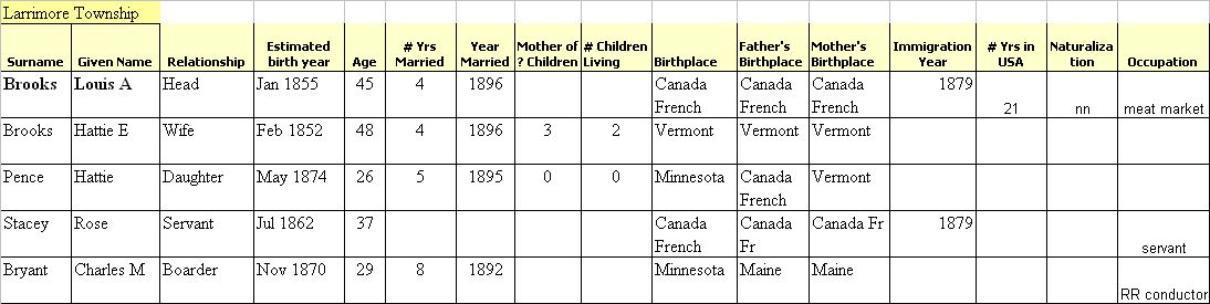 1900 US Census Extract for Louis A Brooks in Larrimore Township